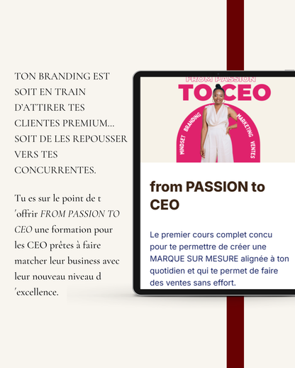 mentorat business - from passion to ceo